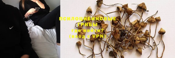 твердый Армянск