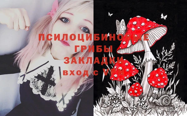 твердый Армянск